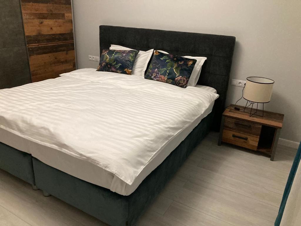 Sibiu Ezonia Central Apartment Ngoại thất bức ảnh